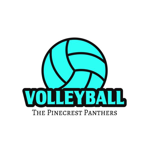 Volleyball 37 Miniatura