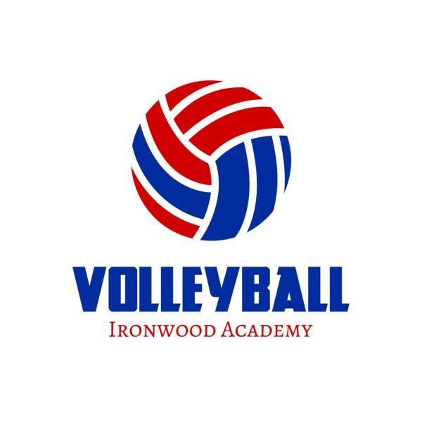 Volleyball 42 Miniatura