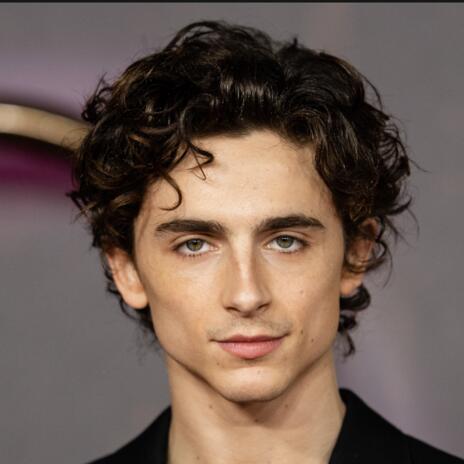 Timothee Chalamet Thumbnail