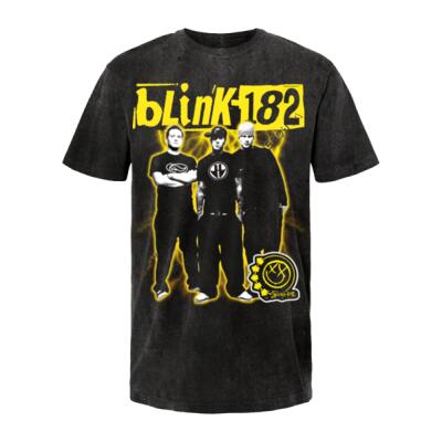 BLINK 182 Vintage Mineral Miniatura