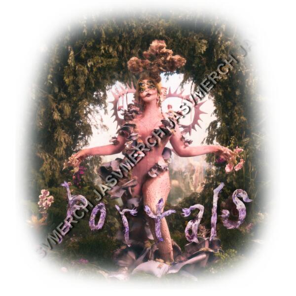 portals acidwash Miniatura