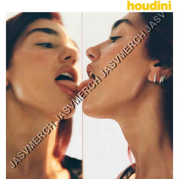dua lipa houdini Miniatura